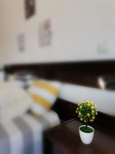 3L´STUDIO