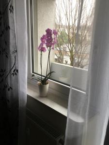 A&H Apartment