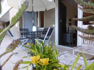 A View to the River Tejo - IBG HOME