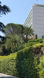 ACCI Cannes 2 bedrooms, Sea View