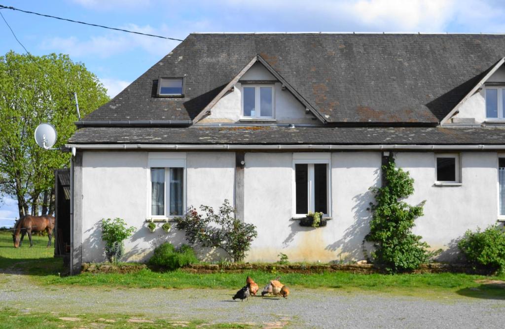 accommodation à la ferme - appartement et mobilhome 19210 st pardoux corbier, 19210 Lubersac