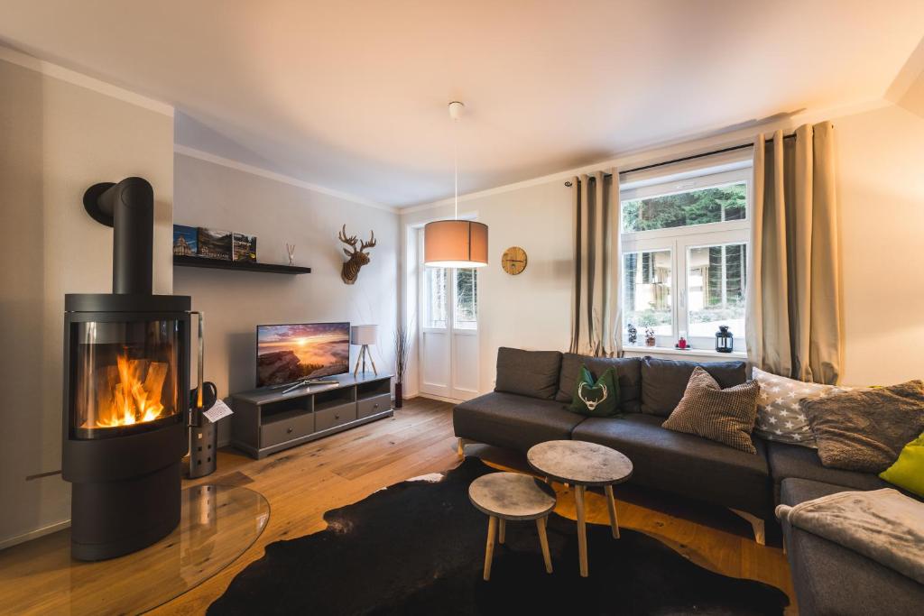 Ahornallee - Ferienappartements Ahornallee, 6 - Altenberg, 01773 Kurort Bärenburg