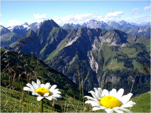 Alp-Chalet