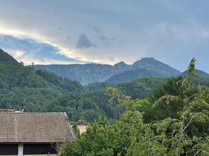Alpenauszeit in (den) Bergen