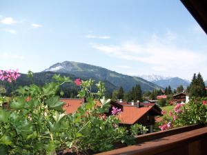 Alpenblick