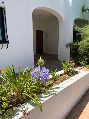 Alto Club Apartments