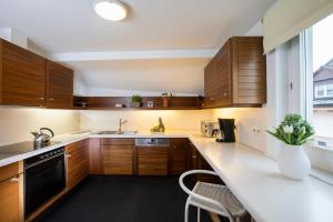 Altstadt Apartments