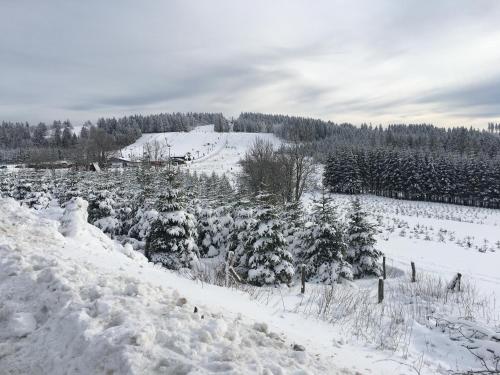 Am Skihang Altastenberg FeWo