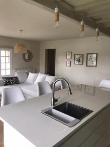 Ambiance Seine - appartement 46m2 terrasse - Hortensia