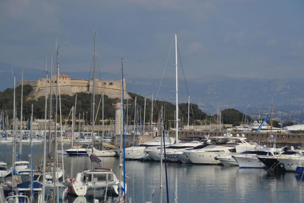 Antibes Vacances 14 Rue Barque en Cannes, 06600 Antibes