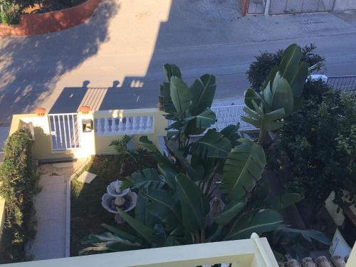 Apartamentos Paradise Fuseta