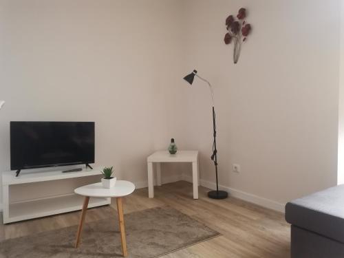 Apartamentos São Gião 10