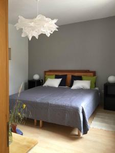 Apartment am alten Markt
