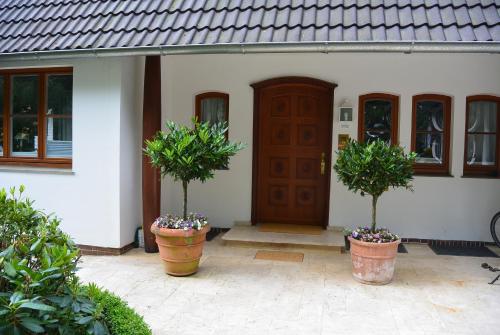Apartment am Park