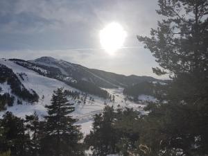 Apartment Face Aux Pistes