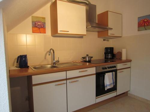 Apartment Freynik