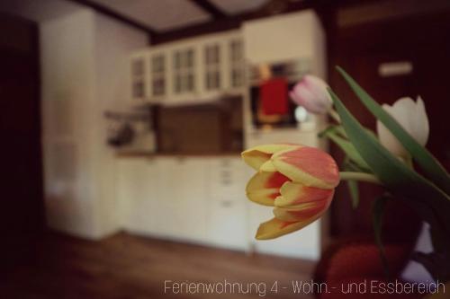 Apartment Grubenhaus20