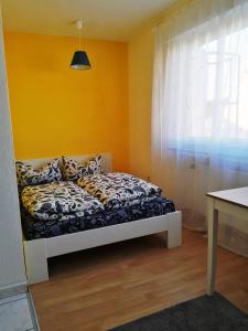 Apartment in the center