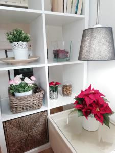 Apartment in the historic center of Porto