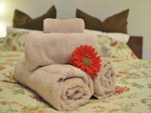 Apartment Mida