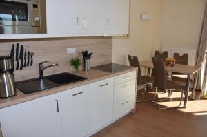 Apartment PlauSeelig mit Bootsliegeplatz optional