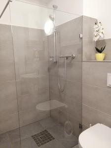 Apartment WIE