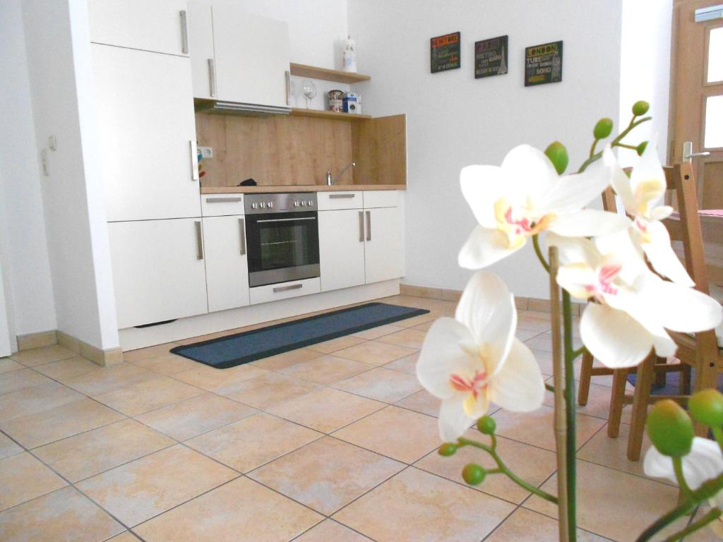 Apartments Altstadtflair Blaue-Stern-Gasse 3, 93047 Ratisbonne