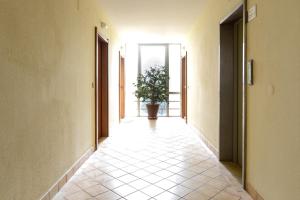 Apartments near Marina de Vilamoura