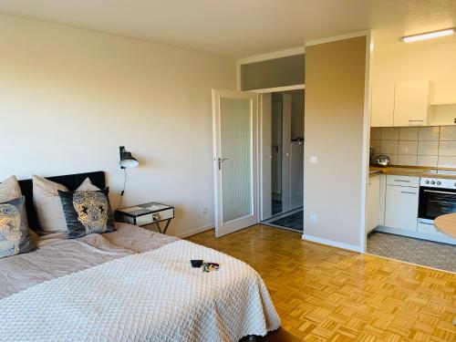 Apartments Schwerin