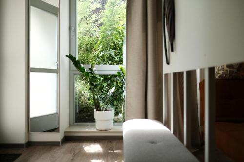 Apartments zur alten Konditorei