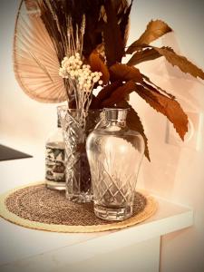 Appart Hotel Jaures - Boutique apartments