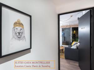 Appartements Appart - Suites Gaya Centre Ville 16 Place Rondelet 34000 Montpellier Languedoc-Roussillon