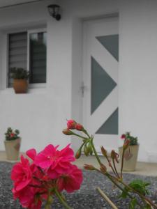Appartement Abadie
