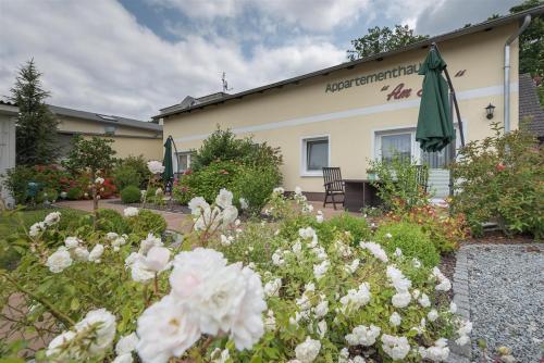 Appartement Am Park der Sinne & Am See