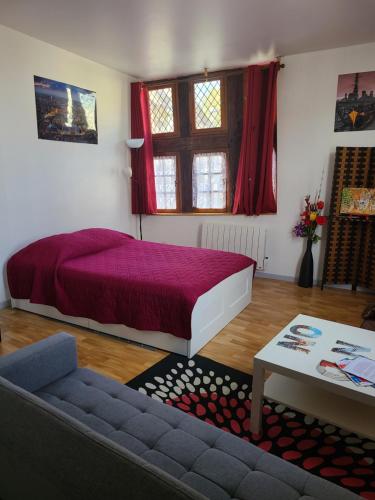 Appartement du vieux Troyes