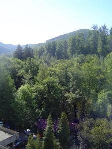 Appartement Scharf