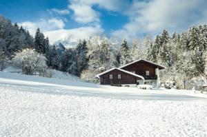 Appartementhaus Zechmeister
