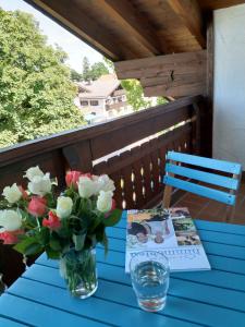 Appartements Apfelblüte