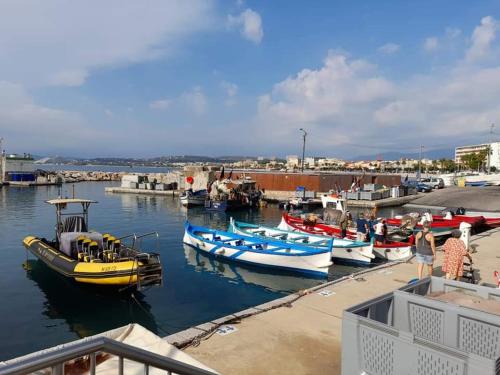 Appartements Au Cros De Cagnes