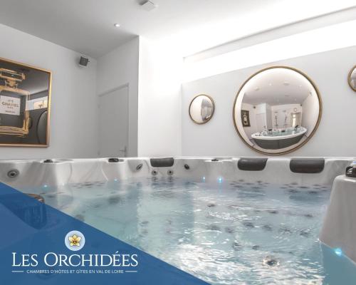 Appartements Les Orchidées Portail Louis SAUMUR