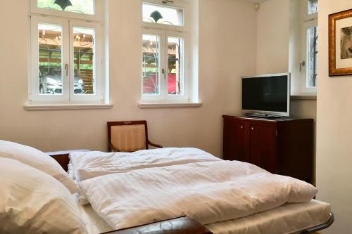 Appartment Villa am Bretschneiderpark