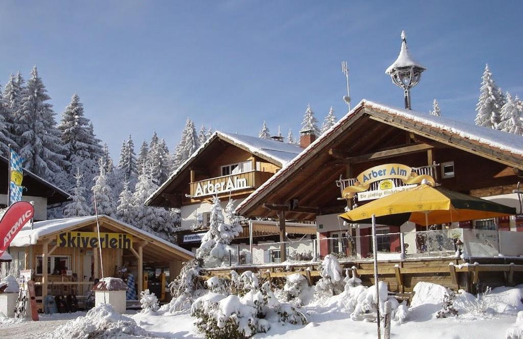 Arber Alm Brennes 20, 94252 Bayerisch Eisenstein