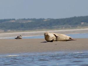Au bord de Mers
