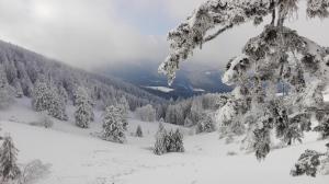 Au chalet de JO
