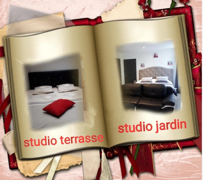 Appartements Au Paradis des Crins avec un studio rez de chaussée jardin et studio en duplex avec terrasse 133 rue de Peronne 59242 Templeuve