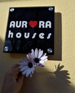 Appartements Aurora Houses Rua Gago Coutinho, nº28 8600-593 Lagos Algarve