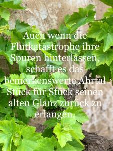Auszeit im Ahrtal