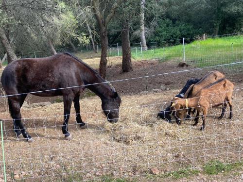 Bastide de Ruety