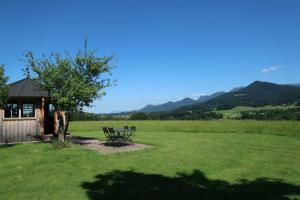 Beim Grafen