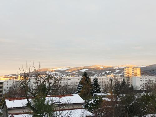 Appartements Bienvenue chez Keylia et Tia 49 Rue Jean Colly 42100 Le Brûlé Rhône-Alpes